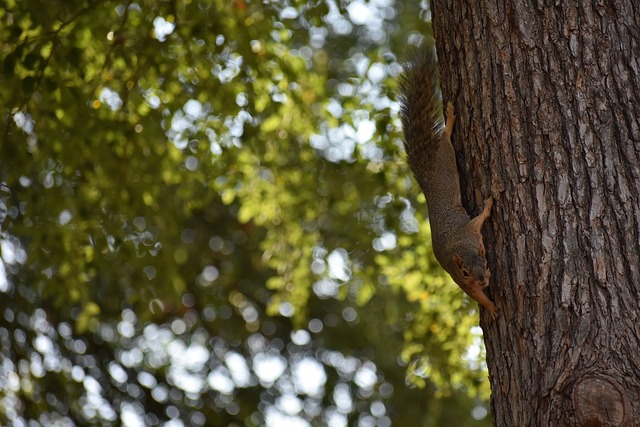 无比小心 无比小心