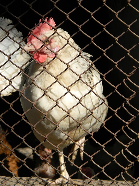 8秒05！跑出个人最好成绩！吴艳妮回应模仿阿丽塔.